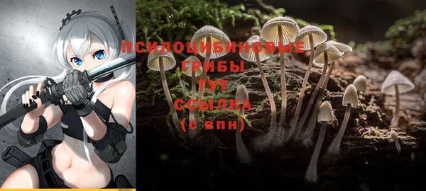 марки lsd Михайлов