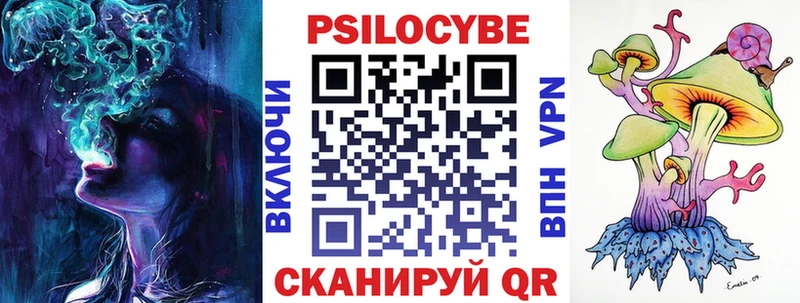 Псилоцибиновые грибы Psilocybine cubensis  Советская Гавань 