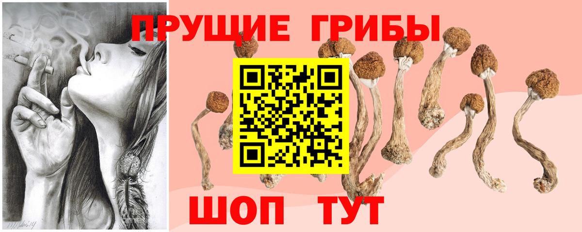 Галлюциногенные грибы мицелий Советская Гавань