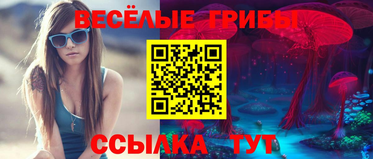 Галлюциногенные грибы мицелий  Вход с VPN  Советская Гавань 